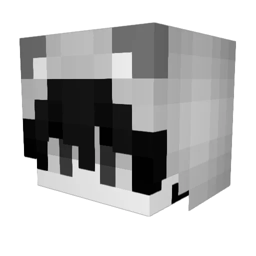 DLATJWNSWHSWKF Minecraft avatar head, 3D render