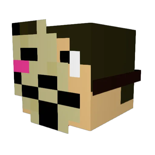 DLC43 Minecraft avatar head, 3D render