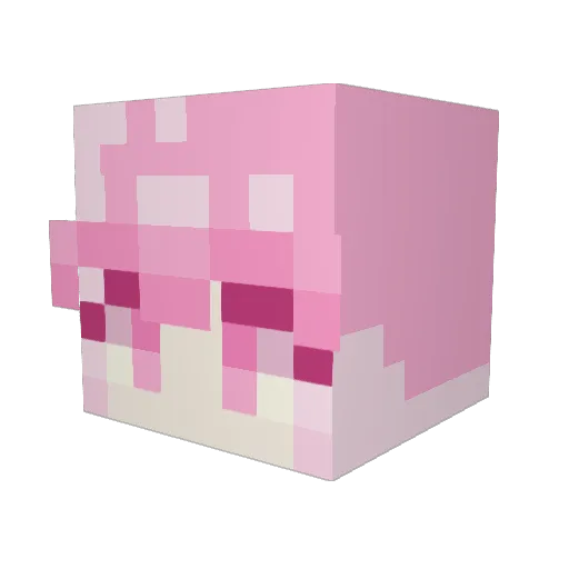 DLG5031 Minecraft avatar head, 3D render