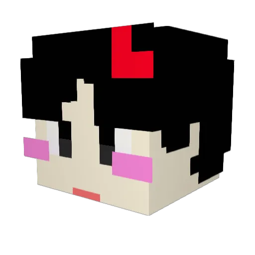 DLGMLDNJS Minecraft avatar head, 3D render