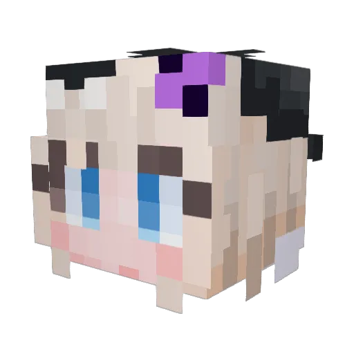 DLNO_ Minecraft avatar head, 3D render