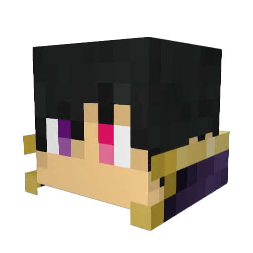 DLS_EnterMatrix Minecraft avatar head, 3D render