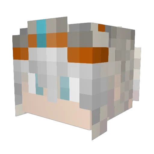 DL_sw Minecraft avatar head, 3D render