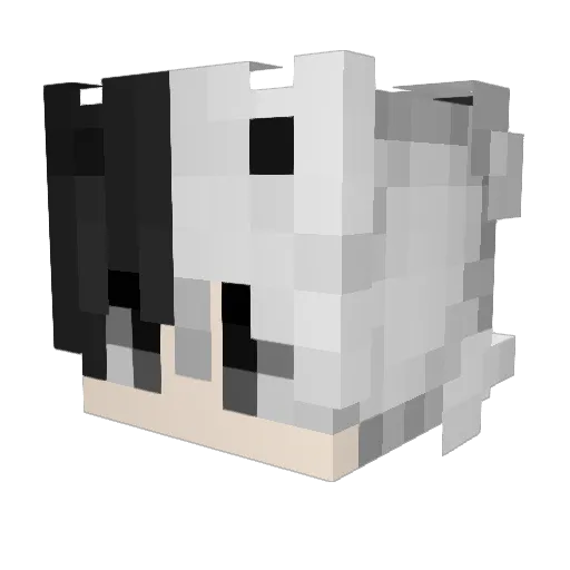 DLow969 Minecraft avatar head, 3D render