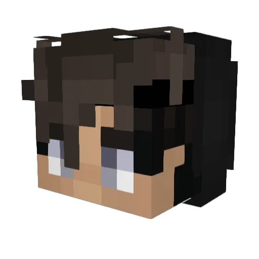 DM16 Minecraft avatar head, 3D render