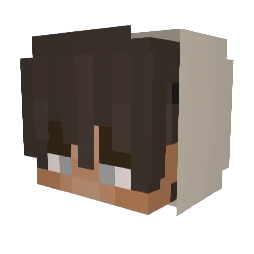 DM23pro Minecraft avatar head, 3D render