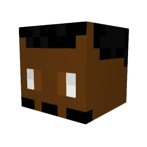 DMAN1396d Minecraft avatar head, 3D render