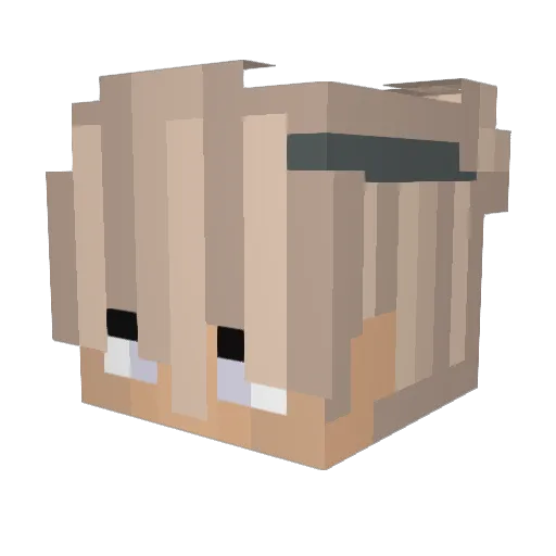 DMG__ULTRA Minecraft avatar head, 3D render