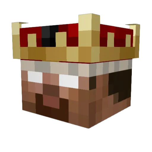 DMONEY100302 Minecraft avatar head, 3D render
