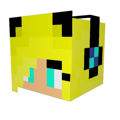 DMS24 Minecraft avatar head, 3D render