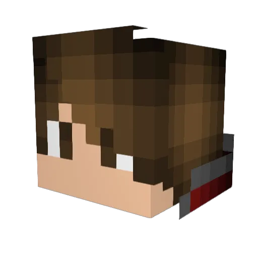 DMSledge Minecraft avatar head, 3D render