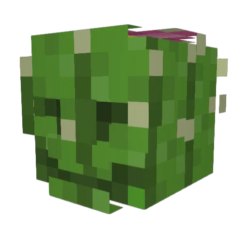 DMYE Minecraft avatar head, 3D render