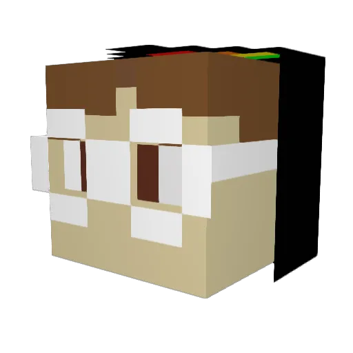 DMan_2015 Minecraft avatar head, 3D render