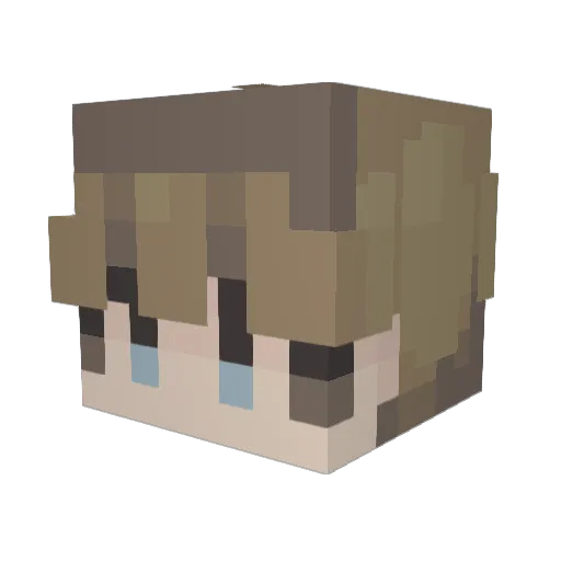 DMaster1999 Minecraft avatar head, 3D render