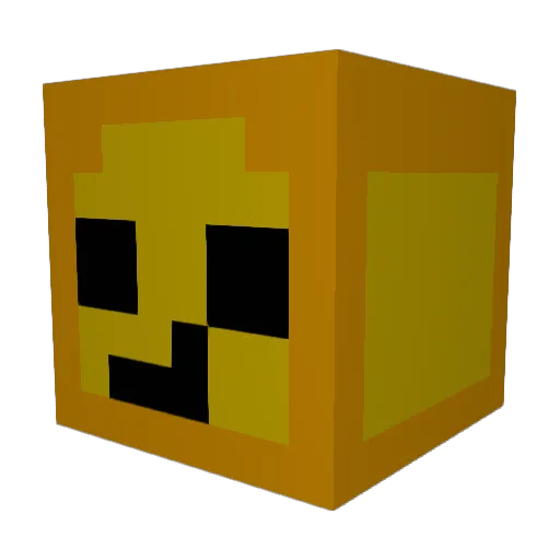 DMplayzz Minecraft avatar head, 3D render