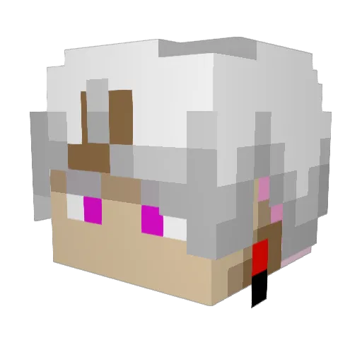 DMzim Minecraft avatar head, 3D render