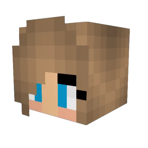 DNA_Gamerz Minecraft avatar head, 3D render