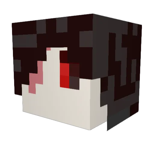 DNA_Hochburger Minecraft avatar head, 3D render