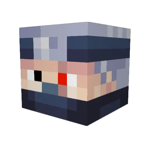 DNDBot11 Minecraft avatar head, 3D render