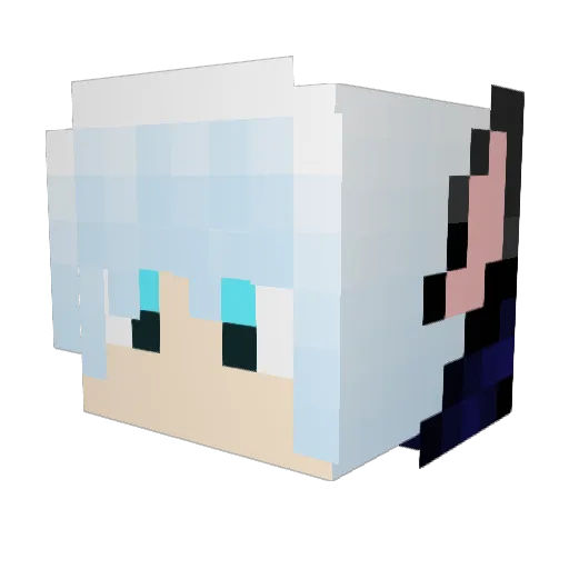 DNFate Minecraft avatar head, 3D render