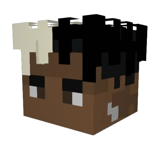 DNG33 Minecraft avatar head, 3D render