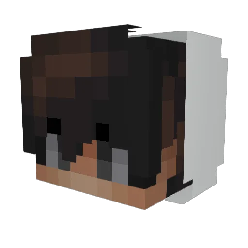 DNMWWO Minecraft avatar head, 3D render