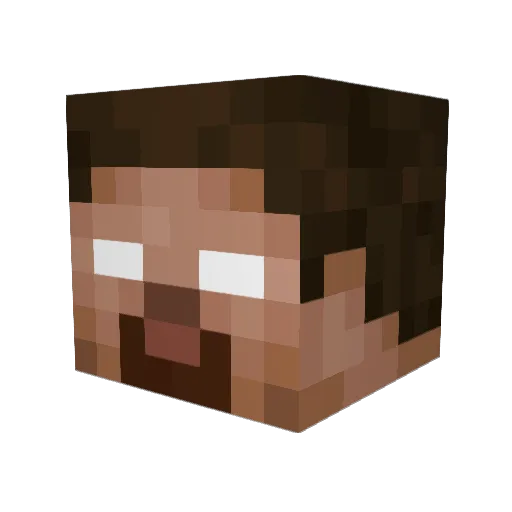 DNZERA_ Minecraft avatar head, 3D render