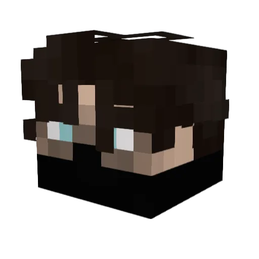 DN_Brass Minecraft avatar head, 3D render