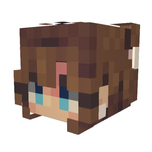 DOBO07 Minecraft avatar head, 3D render