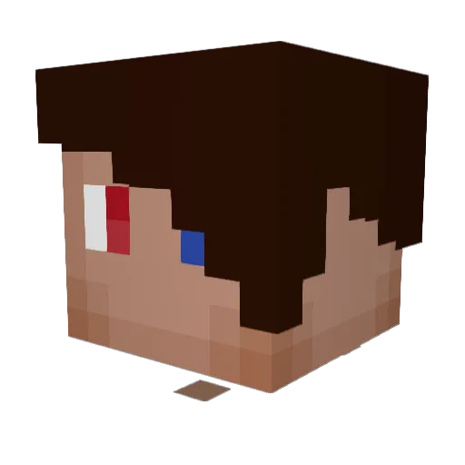 DOC_NOOK Minecraft avatar head, 3D render