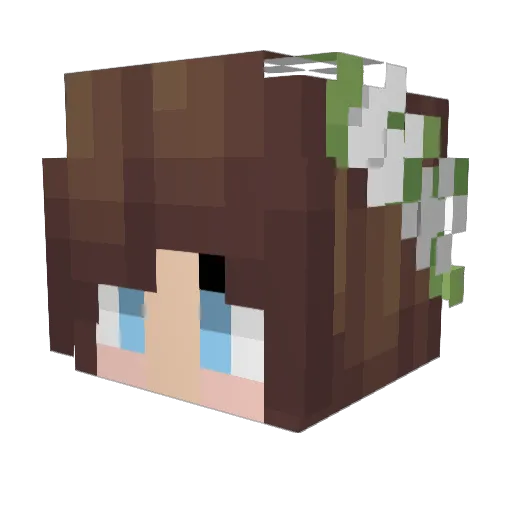 DODA1_ Minecraft avatar head, 3D render