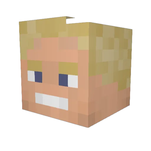 DOGANT Minecraft avatar head, 3D render