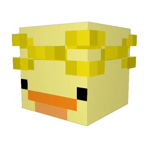 DOGELOCO Minecraft avatar head, 3D render