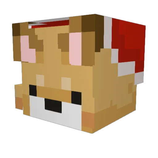 DOGE_SON Minecraft avatar head, 3D render