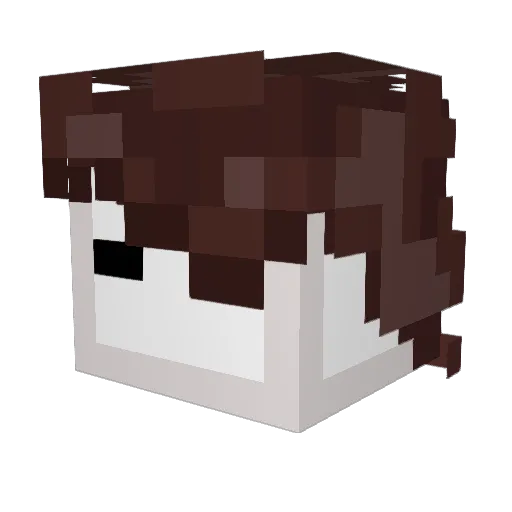 DOGGO_mp4 Minecraft avatar head, 3D render