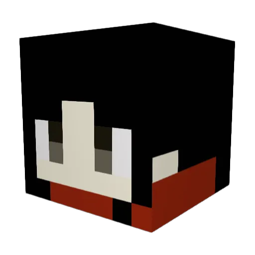 DOGGY904 Minecraft avatar head, 3D render