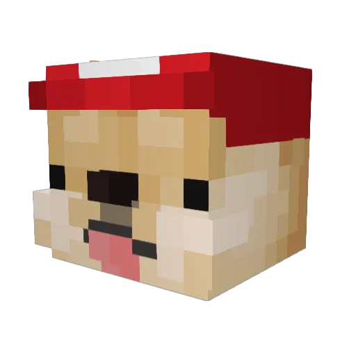 DOGLOVER394 Minecraft avatar head, 3D render