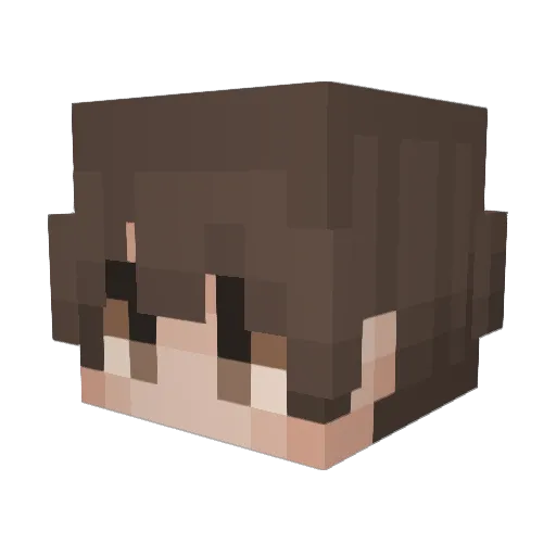 DOGY_96 Minecraft avatar head, 3D render