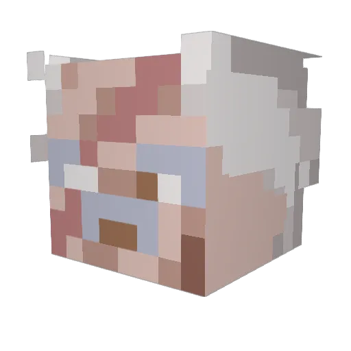 DOH55 Minecraft avatar head, 3D render