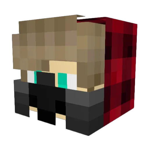 DOJAYYYN Minecraft avatar head, 3D render