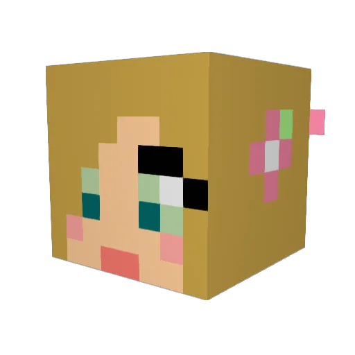 DOKOTFU Minecraft avatar head, 3D render