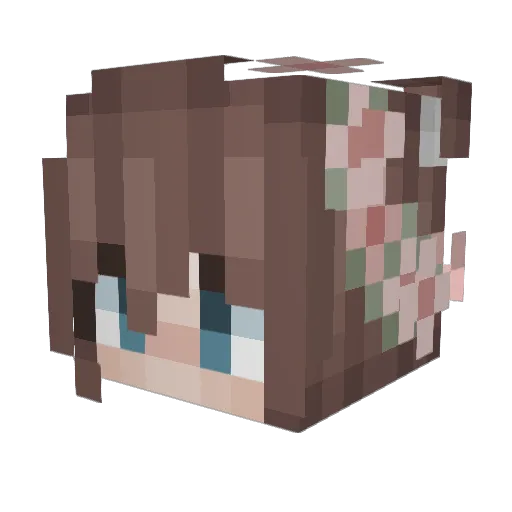 DOKURINGO Minecraft avatar head, 3D render