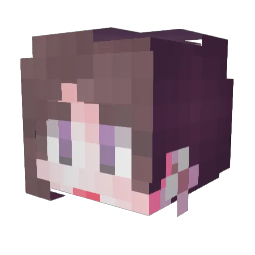 DOKYUPARK Minecraft avatar head, 3D render