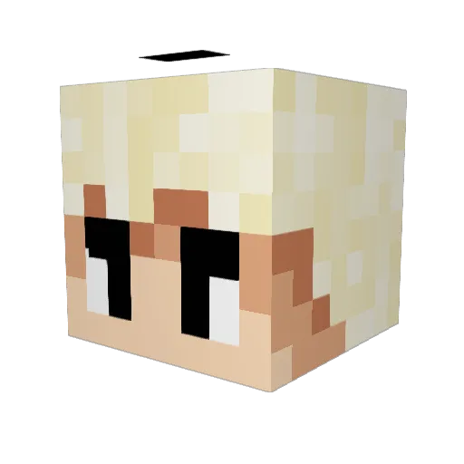 DOLLOPP8206 Minecraft avatar head, 3D render