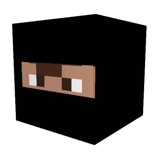 DOMY21 Minecraft avatar head, 3D render