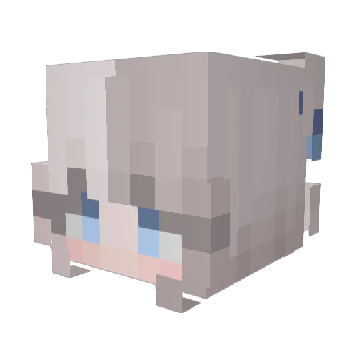 DONFSIFAN Minecraft avatar head, 3D render