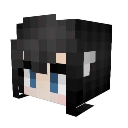 DONIELL Minecraft avatar head, 3D render