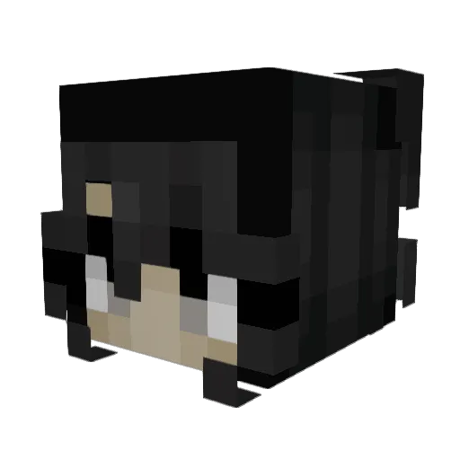 DONNA111 Minecraft avatar head, 3D render