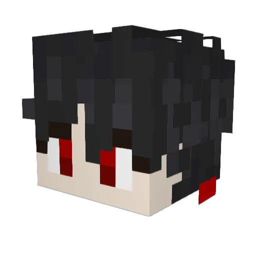 DONNGURI576 Minecraft avatar head, 3D render