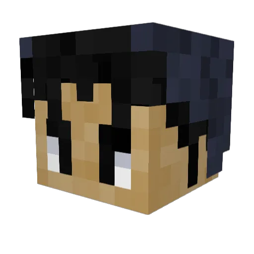 DONPLOMITO Minecraft avatar head, 3D render